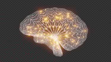 Wiseartpublishing logo