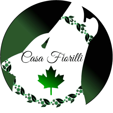 Casa Fiorilli logo