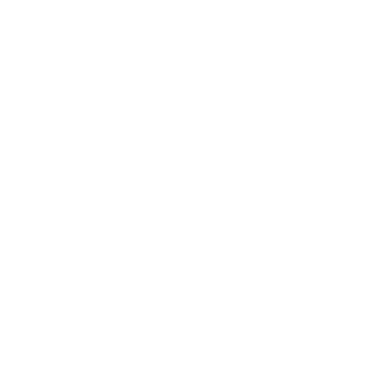 daniivelezzcompany.com logo