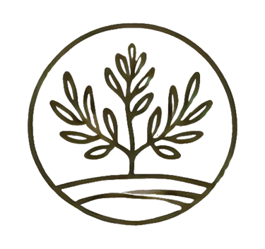 little olive logo