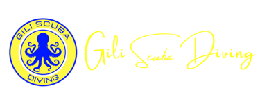 Gili Scuba Diving logo