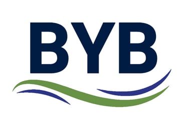 INSUMOS BYB logo