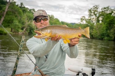 Streamer Fishing Watauga River June Fly Fishing Report