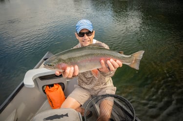 Huge Rainbow Trout in Tennessee