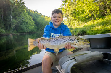 Big Browns on the South Holston River, Take kids fishing, June Fishing Report.