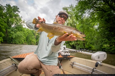 Streamer Fishing Watauga River June Fishing report