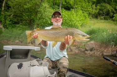 June 2026 28" South Holston River Brown Trout
