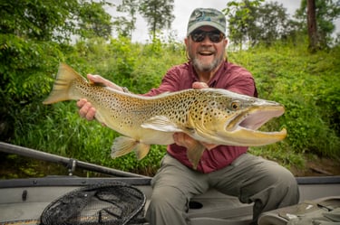 27" Brown Trout Fly Fishing June Watauga River Fishing Report