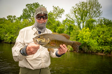 sight fishing for smallmouth bass: June 2026 Fishing Report