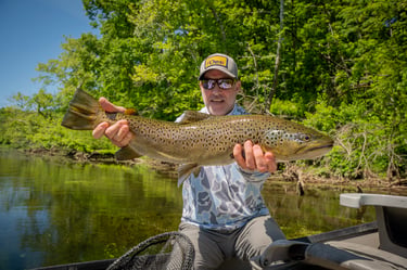 June 2026 Fly Fishing Report South Holston River Brown Trout