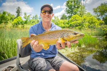 Watauga River fly fishing tips: 2026