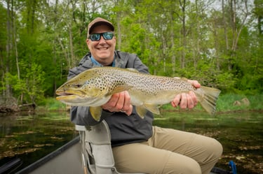 26" Brown, South Holston Angler, Guide Trip, Catch and Release, June Fishing report