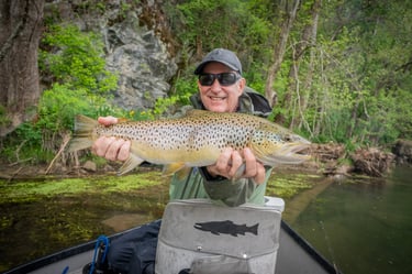 Nymph fishing for large brown trout, South Holston Angler, June Fishing report.