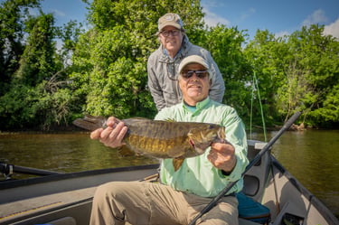 21" SmallMouth Bass, Holston River Top Water fly fishing.