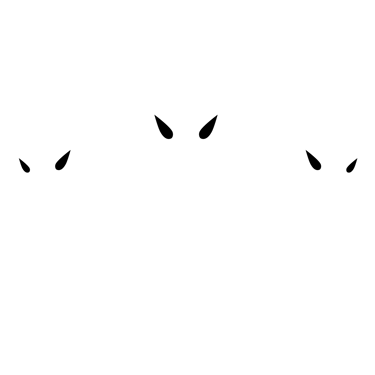 Premium Vigilance Security logo