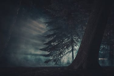 Dark forest and investigation setting representing years of paranormal research, spiritual learning