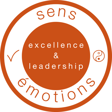 sens ∞ émotions logo