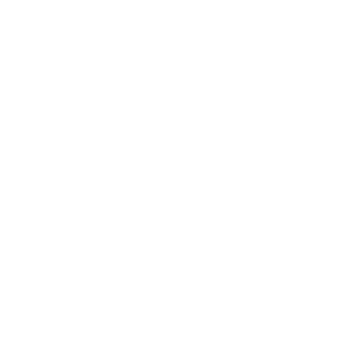 VRF Pallets logo
