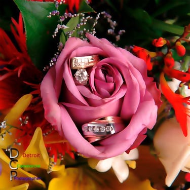 Rings showcased in a pink rose petal bouquet Providing a bold look