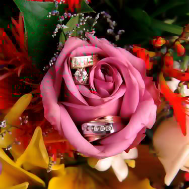 Rings showcased in pink Rose surrounded by bright colorful flowers.. # Brand Photographer, #Product Photography