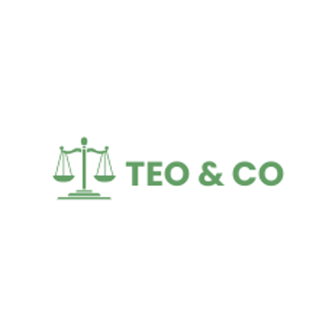 Teomiro y Asociados logo