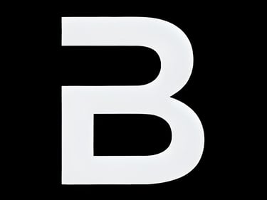 BLACK CAR SERVICE GLOBAL logo