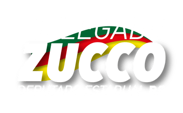 Deputado Delegado Zucco logo