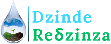 Dzinde ReDzinza (Pvt) Ltd logo