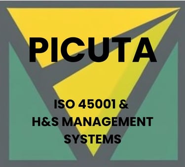 Picuta | ISO 45001 & ISO 14001 Documentation & Compliance Support logo