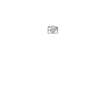 Partivent logo