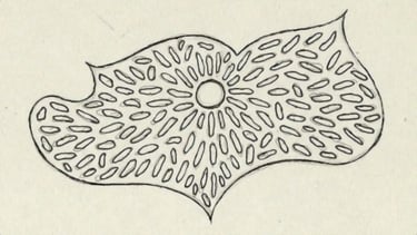Bleistiftentwurf eines Wandbildes aus verklebten Holzscheiten mit einer integrierten Wandleuchte, nicht koloriert