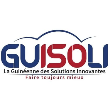 La Guinéenne des Solutions Innovantes logo