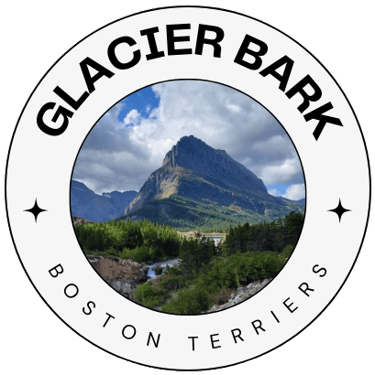 Glacier Bark Boston Terriers logo