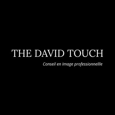 The David Touch Conseil en image Paris logo