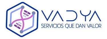 VADYA Services logo