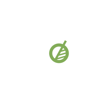 León Proyectos & Soluciones logo