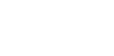 Sniffa Network Security Solutions logo