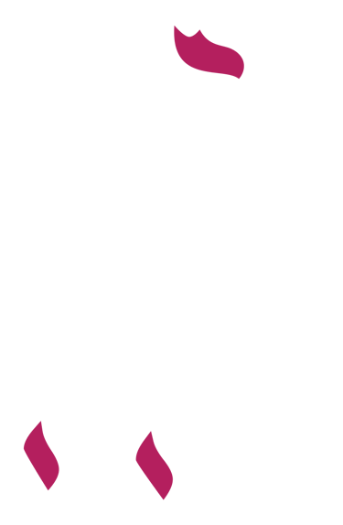 valsalinashealthy365.live logo