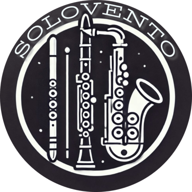SoloVento logo