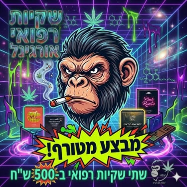 טלגראס כיוונים מרכז logo
