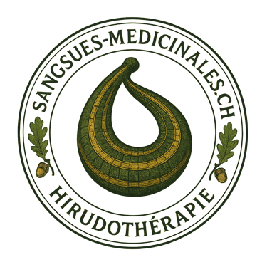 Hirudothérapie logo