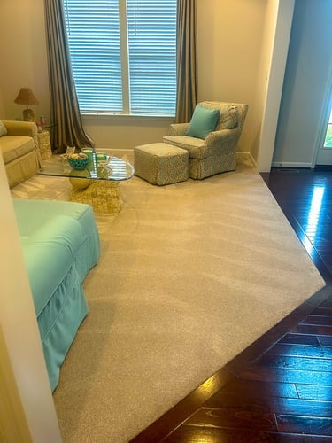 gvc cleaning living room