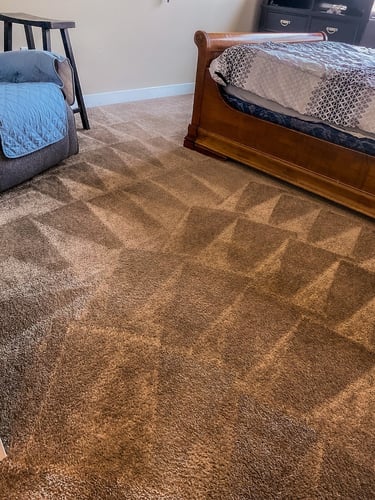 gvc cleaning carpet