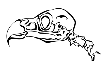 Porphyry Roads logo