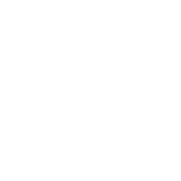 West coast academy - Brest logo