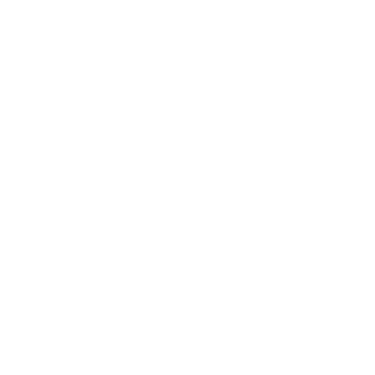 Arianna Ceccarelli Photography logo