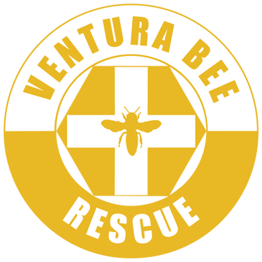 Ventura Bee Rescue logo