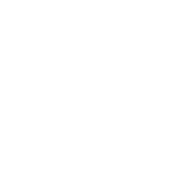 DataBoost logo