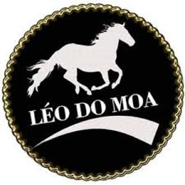 leo do moa logo