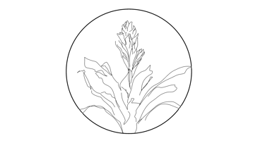 Flaming Sword Records logo